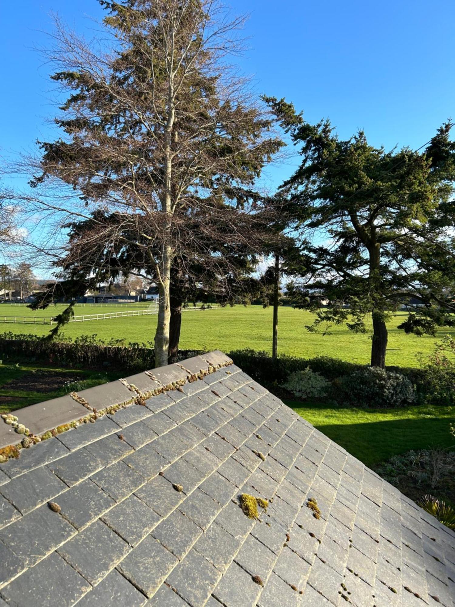 Glen Lyon Lodge Bed And Breakfast Нэрн Экстерьер фото